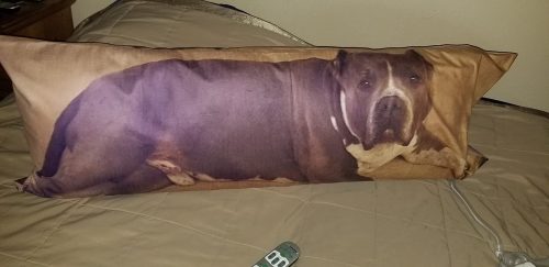 Custom Body Pillow photo review