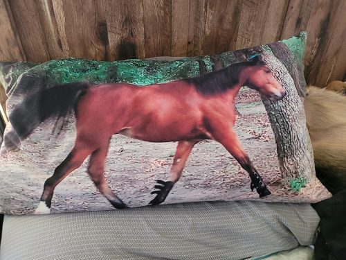 Custom Body Pillow photo review